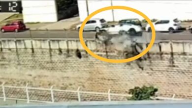 Fotos de Novas imagens mostram acidente envolvendo BMW em Maringá; VEJA