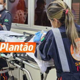 Bebê é atacado por pitbull e fica gravemente ferido na noite desta sexta-feira Foto 2 Fotos de Bebê é atacado por pitbull e fica gravemente ferido na noite desta sexta-feira
