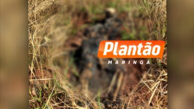 Fotos de Corpo carbonizado é encontrado em matagal na zona sul de Maringá