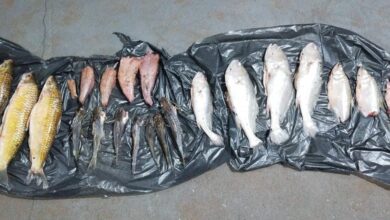 Fotos de Dois homens são presos por pesca irregular no Rio Ivaí