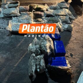 Homem é executado a tiros em Sarandi; câmeras registram ação criminosa Foto 3 Fotos de Homem é executado a tiros em Sarandi; câmeras registram ação criminosa