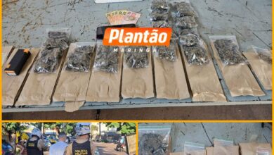 Fotos de Traficante é preso com maconha embalada com nomes dos clientes em Maringá