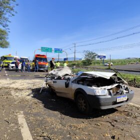 Árvore cai sobre carro e mata motorista na PR-317, em Maringá Foto 7 Fotos de Árvore cai sobre carro e mata motorista na PR-317, em Maringá