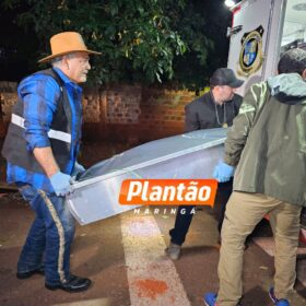 Homem com mandado de prisão é morto a tiros em Maringá Foto 5 Fotos de Homem com mandado de prisão é morto a tiros em Maringá