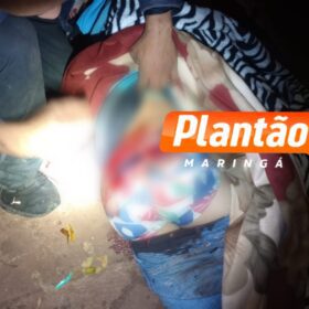 Homem é baleado durante a madrugada em Maringá; caso é investigado pela DHPP Foto 4 Fotos de Homem é baleado durante a madrugada em Maringá; caso é investigado pela DHPP