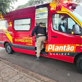 Homem é morto após ser baleado e transportado em carrinho de supermercado em Maringá Foto 6 Fotos de Homem é morto após ser baleado e transportado em carrinho de supermercado em Maringá