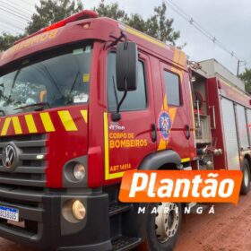 Fotos de Homem tenta queimar formigueiro e incendeia a própria casa em Sarandi; cadelinha é resgatada pelos bombeiros
