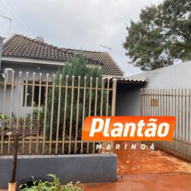 Fotos de Homem tenta queimar formigueiro e incendeia a própria casa em Sarandi; cadelinha é resgatada pelos bombeiros