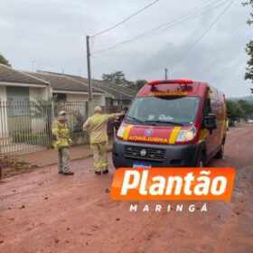 Fotos de Homem tenta queimar formigueiro e incendeia a própria casa em Sarandi; cadelinha é resgatada pelos bombeiros