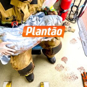 Fotos de Homem tenta queimar formigueiro e incendeia a própria casa em Sarandi; cadelinha é resgatada pelos bombeiros