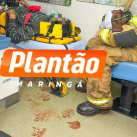Fotos de Homem tenta queimar formigueiro e incendeia a própria casa em Sarandi; cadelinha é resgatada pelos bombeiros
