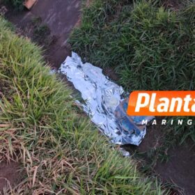 Fotos de Homem morre após ser atropelado na BR-376 entre Maringá e Iguatemi
