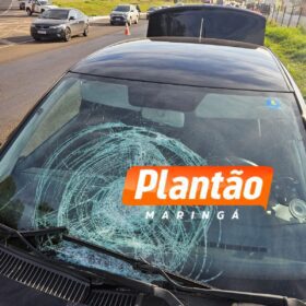 Fotos de Identificada no IML de Maringá mulher que morreu após ser atropelada na BR-376