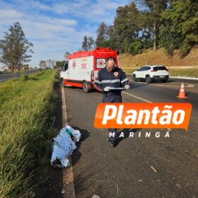 Fotos de Identificada no IML de Maringá mulher que morreu após ser atropelada na BR-376