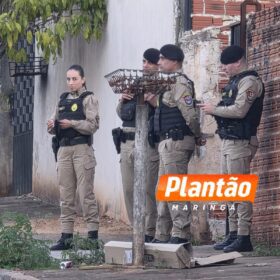 Fotos de Foragido da justiça morre em troca de tiros com a polícia militar em Sarandi