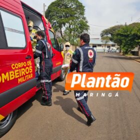 Fotos de Idosa que teve braço devorado por um cachorro vira-lata em Maringá morre no hospital