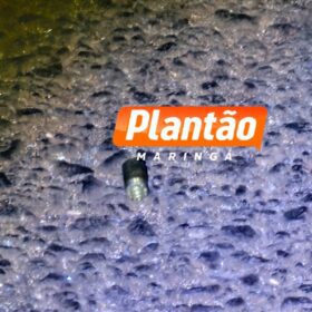 Maringaense é executado com mais de 60 tiros em Marialva Foto 10 Fotos de Maringaense é executado com mais de 60 tiros em Marialva