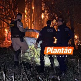 Maringaense é executado com mais de 60 tiros em Marialva Foto 7 Fotos de Maringaense é executado com mais de 60 tiros em Marialva