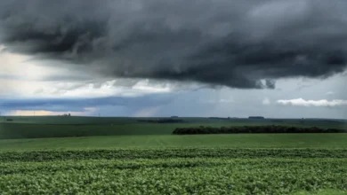 Fotos de Alerta de chuvas intensas atinge 133 cidades do Paraná; veja a lista completa