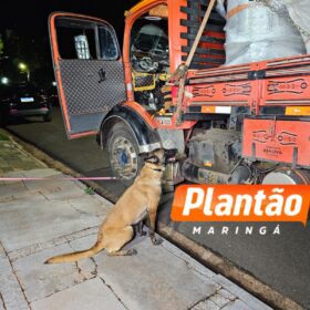 Fotos de DENARC e PRE apreendem 582 kg de maconha em operação na região de Maringá