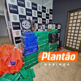 Fotos de DENARC e PRE apreendem 582 kg de maconha em operação na região de Maringá