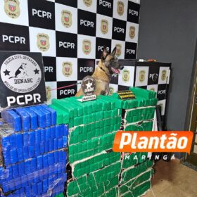 Fotos de DENARC e PRE apreendem 582 kg de maconha em operação na região de Maringá