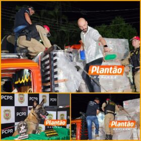 Fotos de DENARC e PRE apreendem 582 kg de maconha em operação na região de Maringá