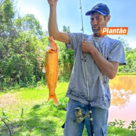 Homem mata ex-cunhado em briga pela guarda do filho em Sarandi Foto 6 Fotos de Homem mata ex-cunhado em briga pela guarda do filho em Sarandi