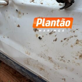 Fotos de Icaraíma: Marcas de tiros em veículo indicam que cobradores foram surpreendidos de frente