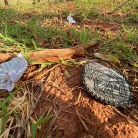 Fotos de Marcas de tiros indicam que desaparecidos foram mortos na chegada à propriedade da dívida