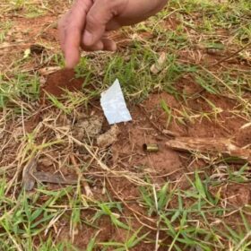 Fotos de Marcas de tiros indicam que desaparecidos foram mortos na chegada à propriedade da dívida