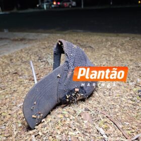 Fotos de Tentativa de agressão termina em morte: ex-companheira mata jardineiro em avenida movimentada de Maringá