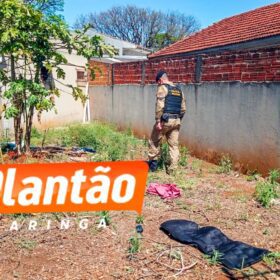 Suspeita de agressão: homem é encontrado inconsciente com traumatismo craniano em terreno baldio de Maringá Foto 6 Fotos de Suspeita de agressão: homem é encontrado inconsciente com traumatismo craniano em terreno baldio de Maringá