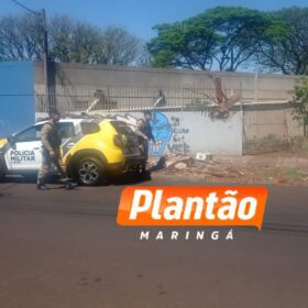 Suspeita de agressão: homem é encontrado inconsciente com traumatismo craniano em terreno baldio de Maringá Foto 1 Fotos de Suspeita de agressão: homem é encontrado inconsciente com traumatismo craniano em terreno baldio de Maringá
