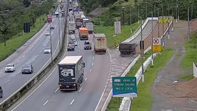 Fotos de Caminhão com pane nos freios acessa área de escape na BR-376; veja vídeo