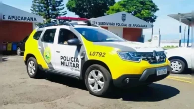 Fotos de Casal foge após tentar sequestrar criança de 2 anos no PR