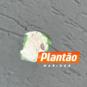 Comércio é alvo de tiros durante a madrugada, em Maringá Foto 2 Fotos de Comércio é alvo de tiros durante a madrugada, em Maringá