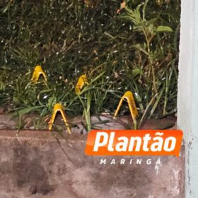 Homem é executado com 12 tiros na frente da filha em Mandaguaçu Foto 9 Fotos de Homem é executado com 12 tiros na frente da filha em Mandaguaçu