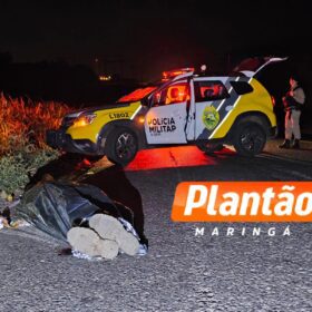 Homem morre atropelado na Avenida Sincler Sambatti em Maringá; motorista caiu em ribanceira após o acidente Foto 7 Fotos de Homem morre atropelado na Avenida Sincler Sambatti em Maringá; motorista caiu em ribanceira após o acidente