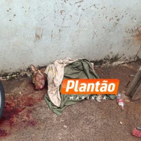 Câmera registra execução de jovem e mostra que a vítima foi executada em cima de telhado em Sarandi Foto 7 Fotos de Câmera registra execução de jovem e mostra que a vítima foi executada em cima de telhado em Sarandi