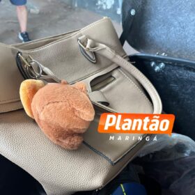 Mãe e filha são presas com mais de 340 kg de maconha durante Blitz em Maringá Foto 3 Fotos de Mãe e filha são presas com mais de 340 kg de maconha durante Blitz em Maringá