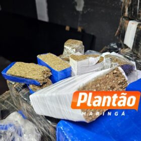 Mãe e filha são presas com mais de 340 kg de maconha durante Blitz em Maringá Foto 7 Fotos de Mãe e filha são presas com mais de 340 kg de maconha durante Blitz em Maringá
