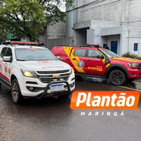 Motorista fica ferido após árvore cair sobre veículo na Avenida Mauá, em Maringá Foto 1 Fotos de Motorista fica ferido após árvore cair sobre veículo na Avenida Mauá, em Maringá