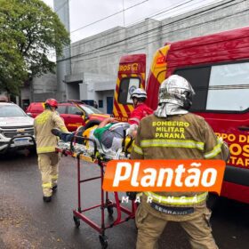 Motorista fica ferido após árvore cair sobre veículo na Avenida Mauá, em Maringá Foto 4 Fotos de Motorista fica ferido após árvore cair sobre veículo na Avenida Mauá, em Maringá