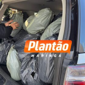 Operação OFF-LABEL desmantela esquema de tráfico de anabolizantes e lavagem de dinheiro Foto 4 Fotos de Operação OFF-LABEL desmantela esquema de tráfico de anabolizantes e lavagem de dinheiro