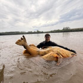 Pescador captura jaú de quase 2 metros e aproximadamente 100 quilos no Rio Ivaí em Floresta Foto 3 Fotos de Pescador captura jaú de quase 2 metros e aproximadamente 100 quilos no Rio Ivaí em Floresta