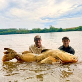 Pescador captura jaú de quase 2 metros e aproximadamente 100 quilos no Rio Ivaí em Floresta Foto 2 Fotos de Pescador captura jaú de quase 2 metros e aproximadamente 100 quilos no Rio Ivaí em Floresta