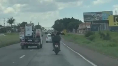 Fotos de Cabrito é flagrado sendo transportado dentro do baú de moto na BR-376, entre Mandaguari e Maringá; vídeo