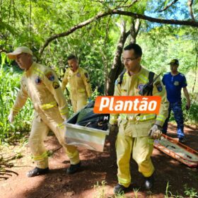Corpo de homem é encontrado em fundo de vale, em Maringá Foto 2 Fotos de Corpo de homem é encontrado em fundo de vale, em Maringá