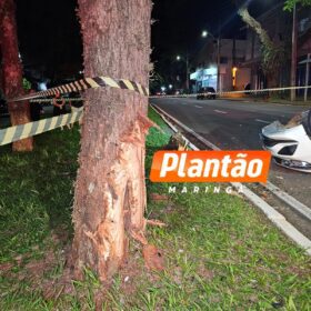 Dois jovens ficam feridos após capotamento na Avenida Laguna, em Maringá Foto 6 Fotos de Dois jovens ficam feridos após capotamento na Avenida Laguna, em Maringá